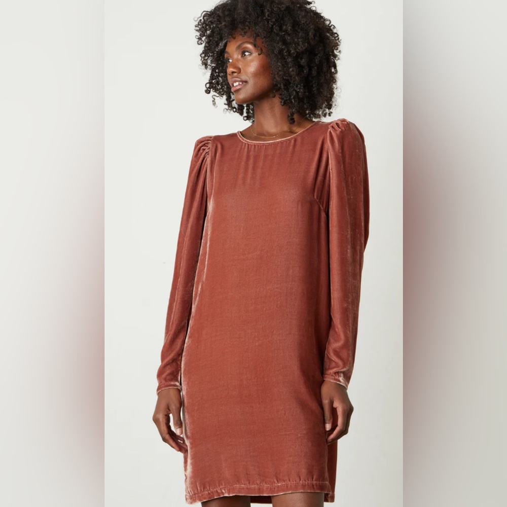 Velvet by Graham & Spencer AGGIE SILK VELVET DRESS IN ROSEGOLD Size Small